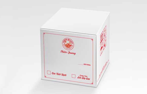 IN TÚI GIẤY/ THÙNG CARTON